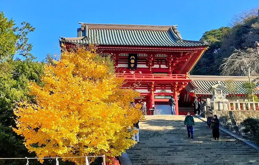 鶴岡八幡宮の本宮と参道(神奈川県鎌倉市・勝運・再生の力)
