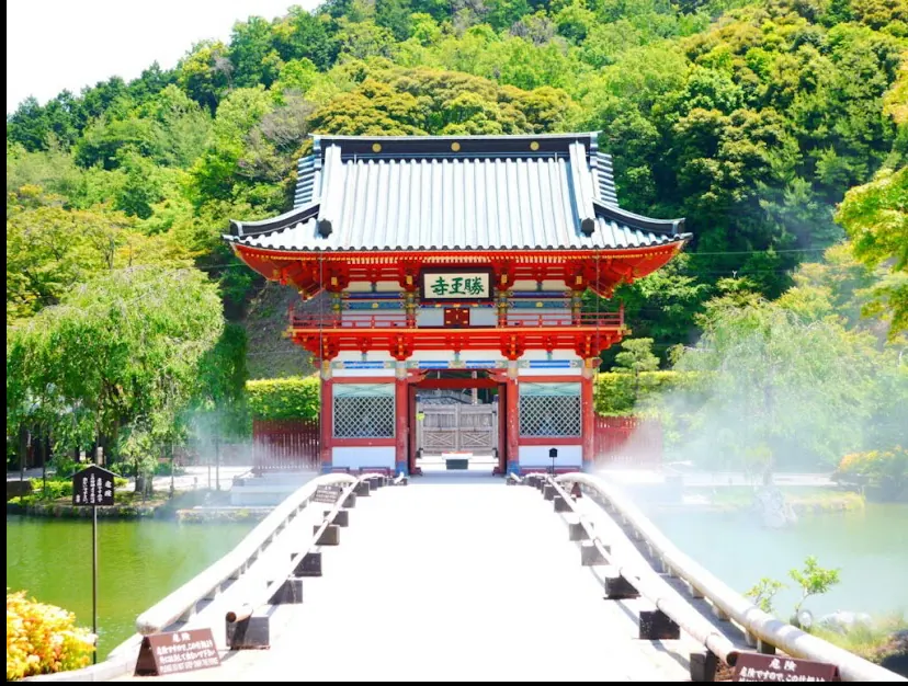 勝尾寺のダルマ奉納棚(大阪府箕面市・勝運・厄除け・自分に勝つ)