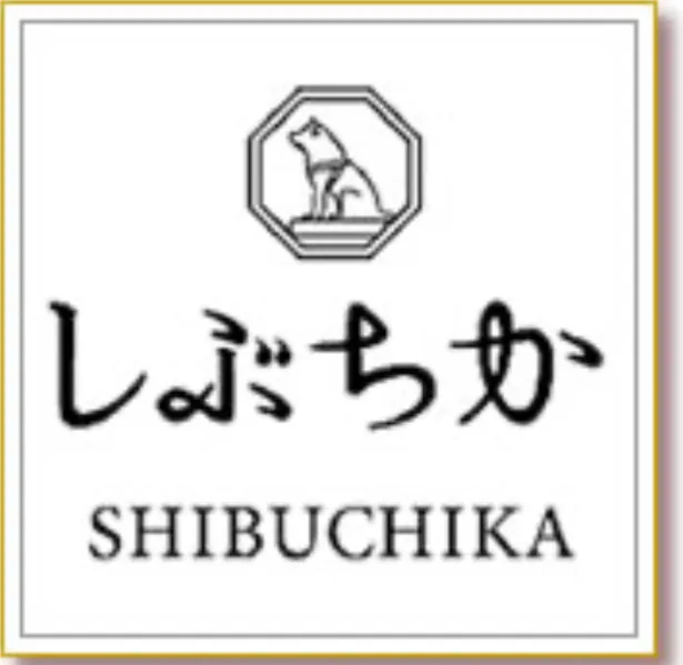 占いのマリフォーチュン（東京新宿・アクセス抜群・多彩な占術・霊感）